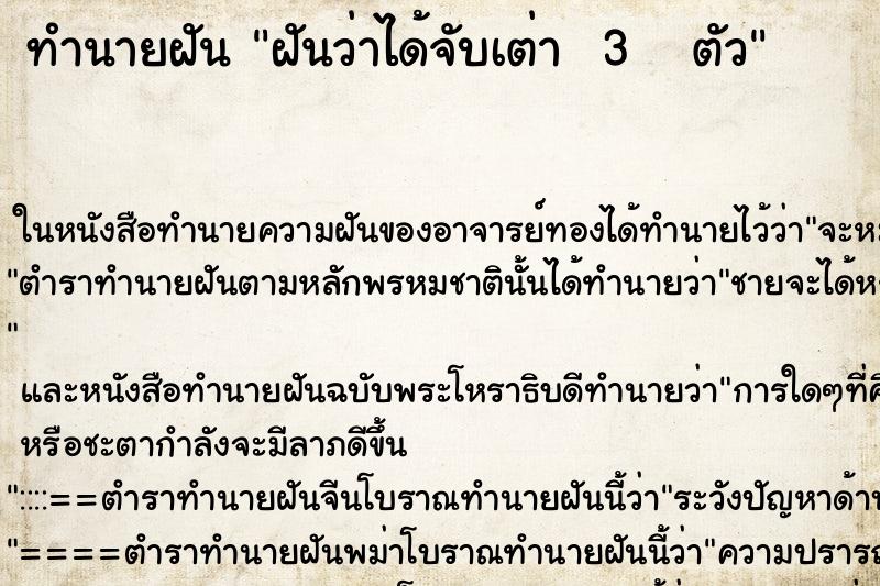ทำนายฝันทำนายฝันฝันว่าได้จับเต่า3ตัว